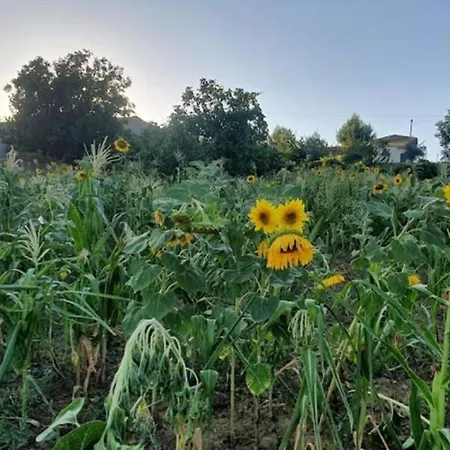 Bio Farma * Tirana