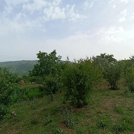 Bio Farma Appartamento *