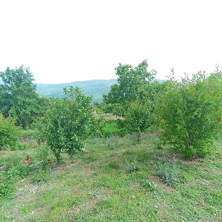 Appartamento Bio Farma