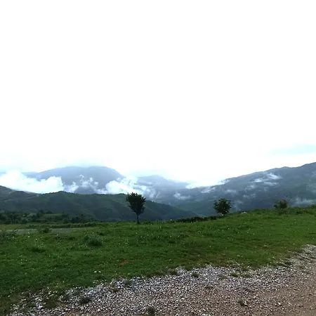 Bio Farma * Tirana