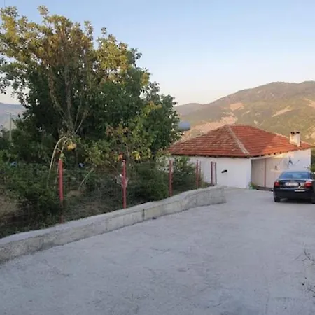 Bio Farma Apartman Tirana